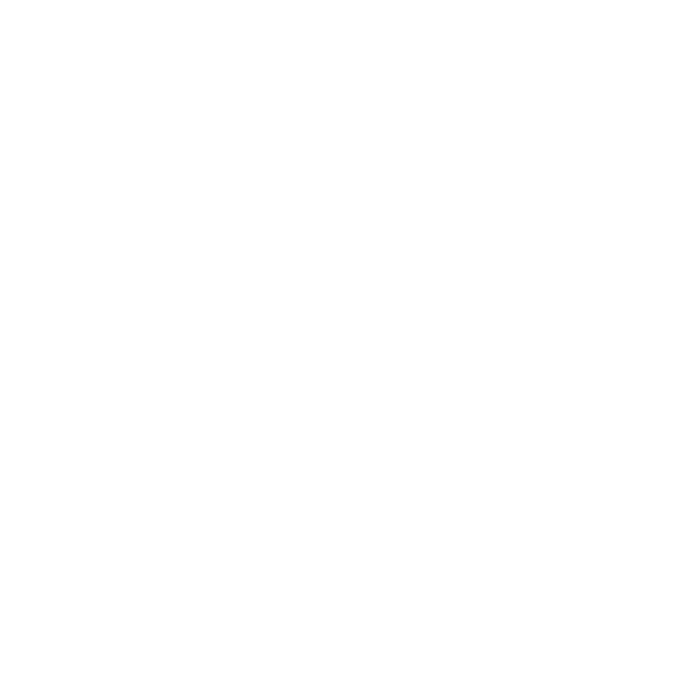 Einfach Abnehmen Logo (weiß)